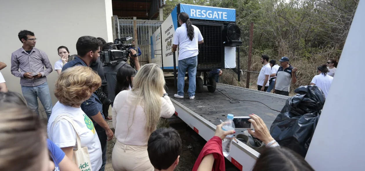 Processo de transferência da ursa Marsha
