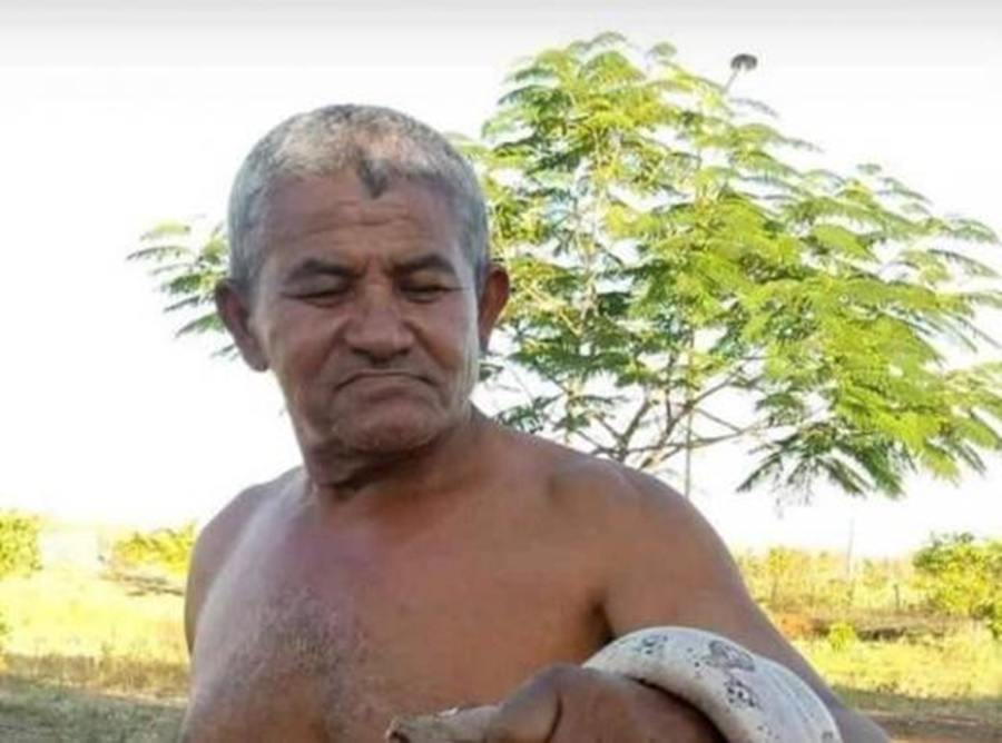  Luís Pereira da Silva