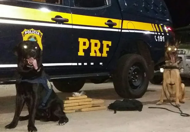 Drogas apreendidas pelos policiais