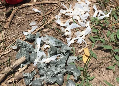 Drogas encontradas com os acusados