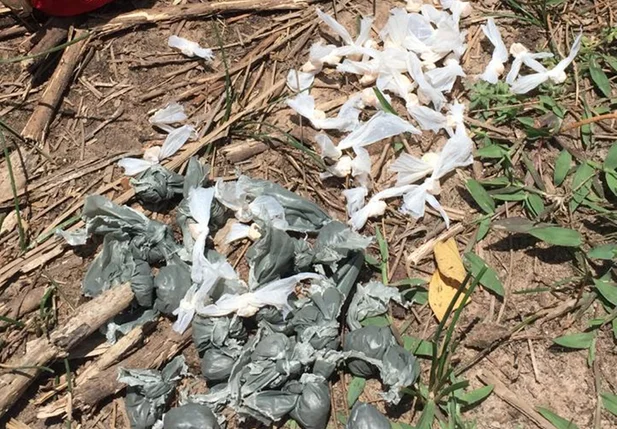 Drogas encontradas com os acusados