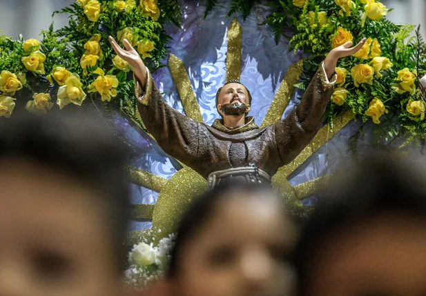 Santo São Francisco de Assis 