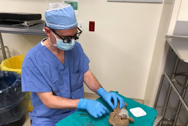 Médico opera ursinho 