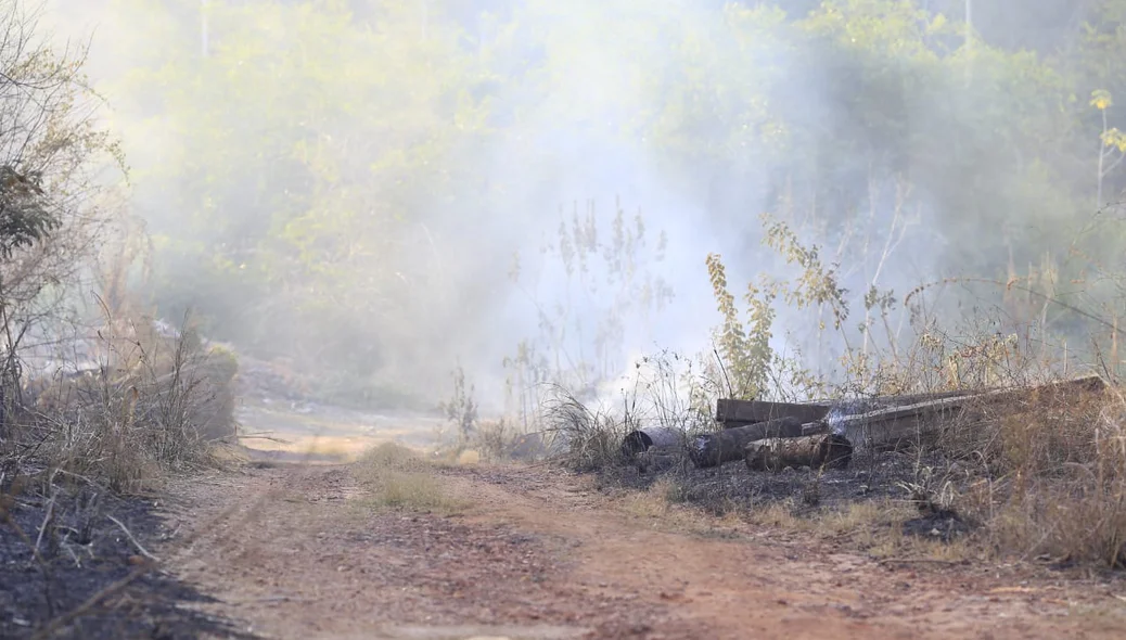 Incêndio atingiu vegetação na beira da estrada