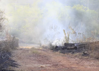 Incêndio atingiu vegetação na beira da estrada