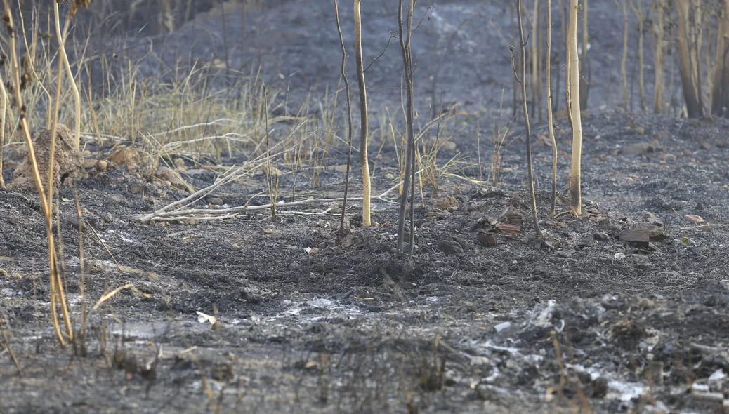 Pouca coisa sobrou após o incêndio