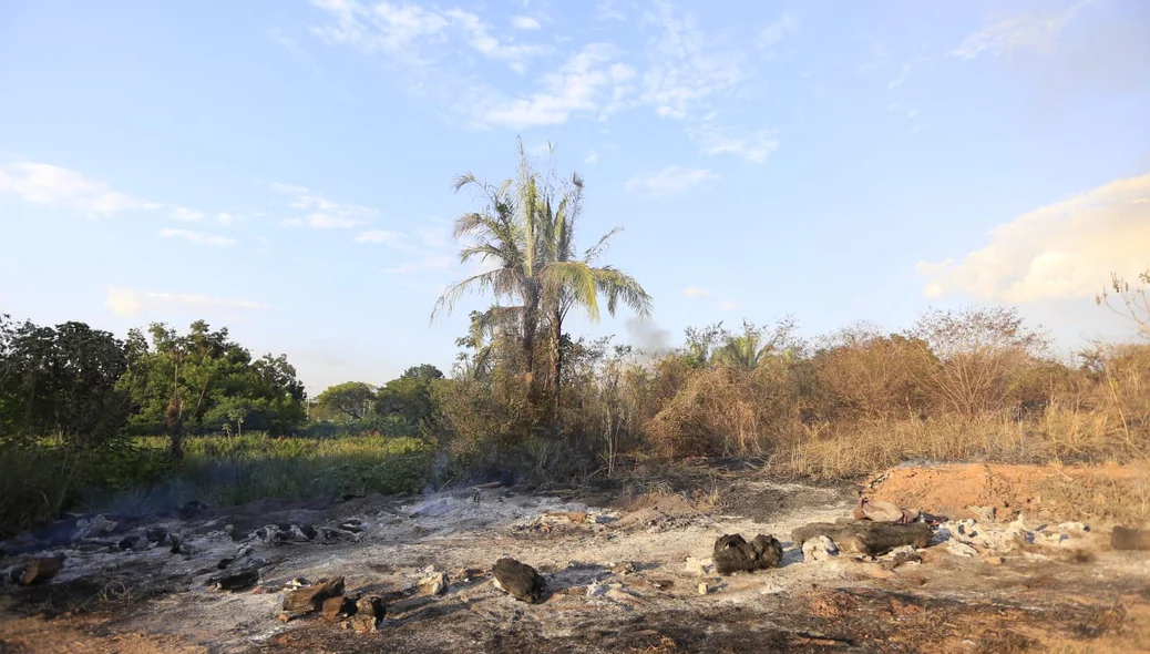 Vários pontos da vegetação foram afetados