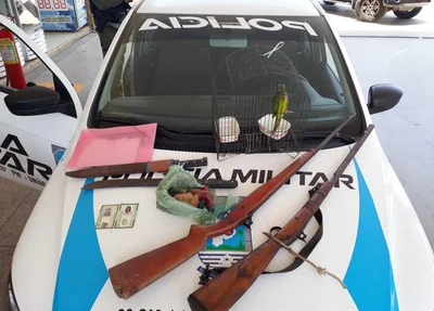 Produtos apreendidos pela Polícia Militar