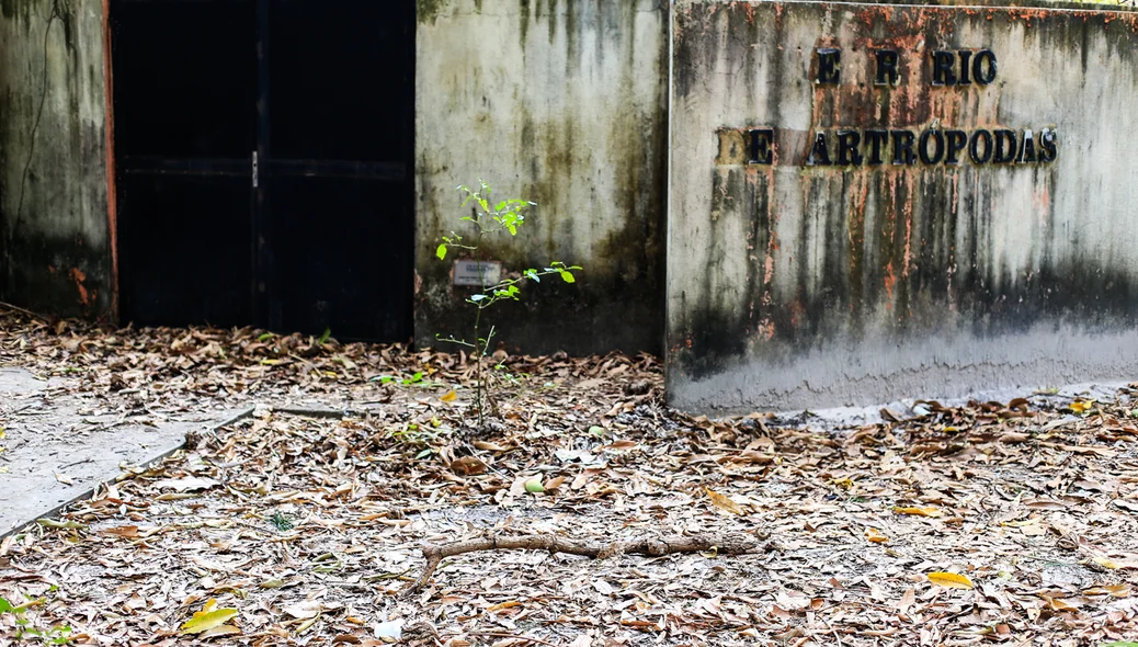 Estruturas desativadas foram abandonadas