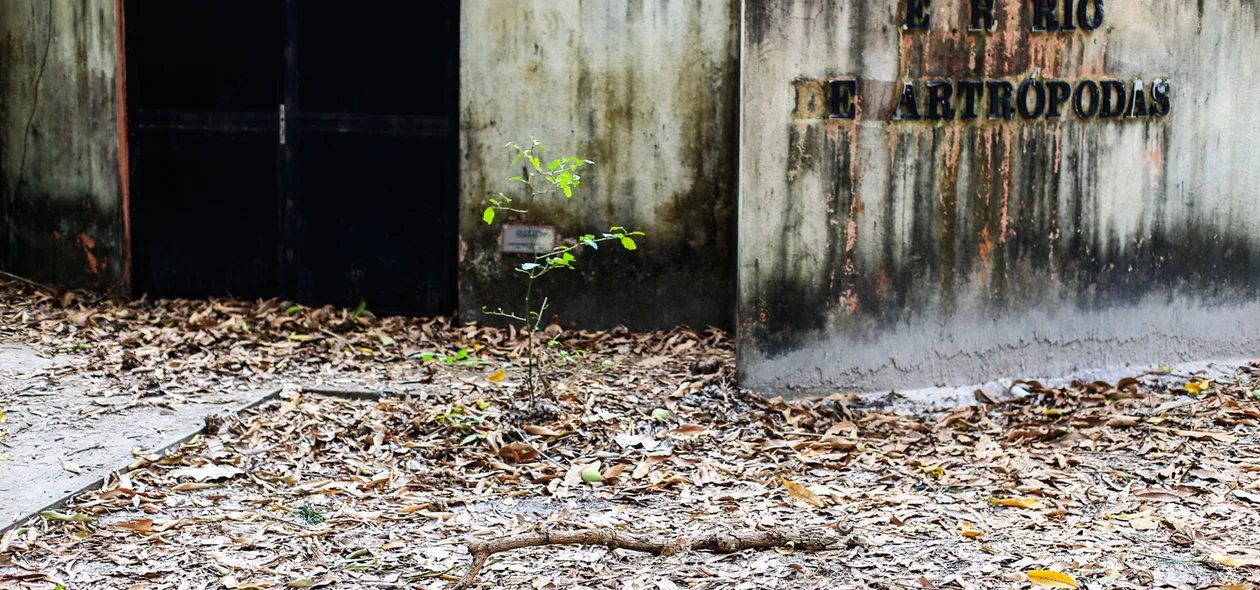 Estruturas desativadas foram abandonadas