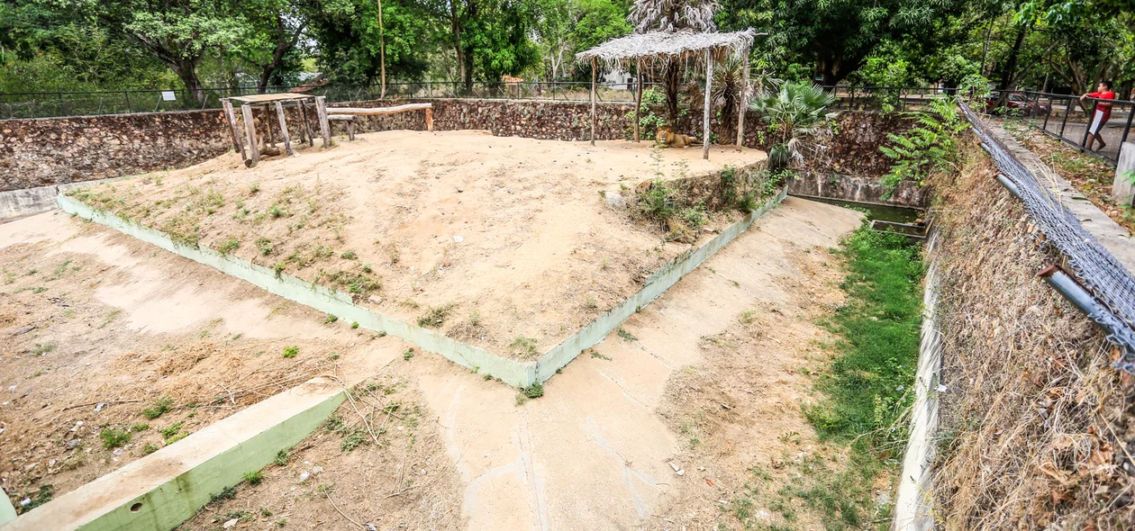 Casa dos leões no zoobotânico 