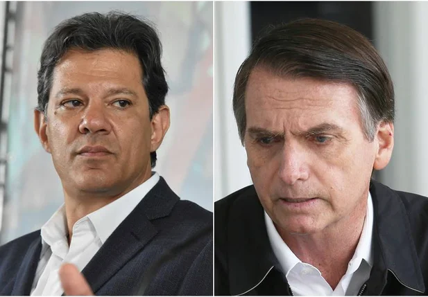 Fernando Haddad e Bolsonaro