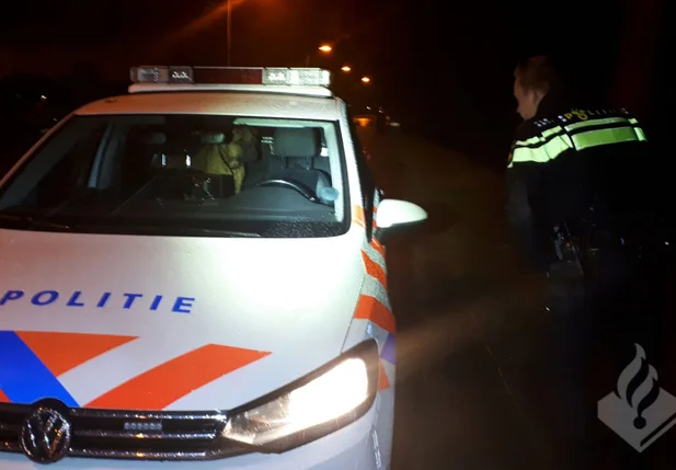 Cachorro expulsa policiais de viatura após ser resgatado