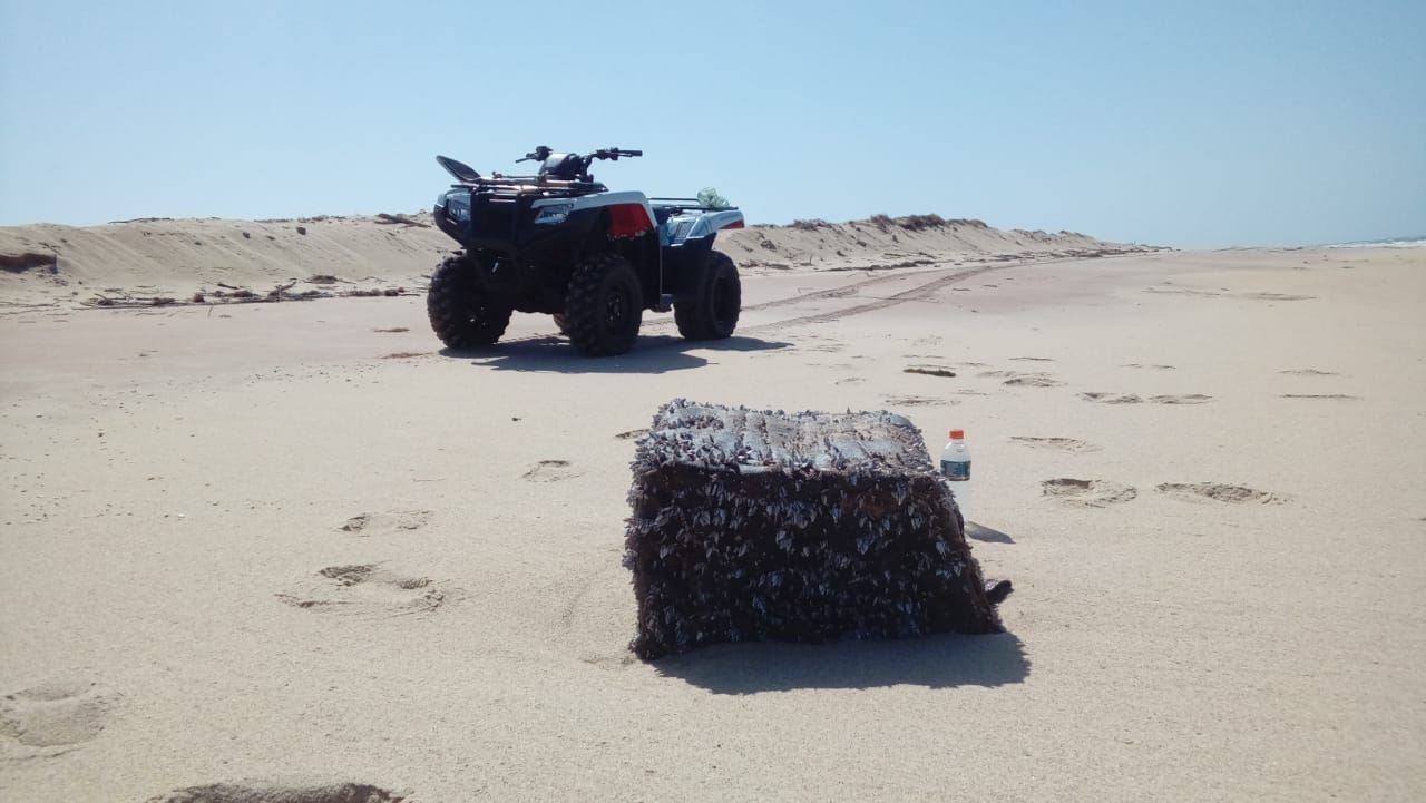 Cada pacote pesa em média de 80kg a 100kg 