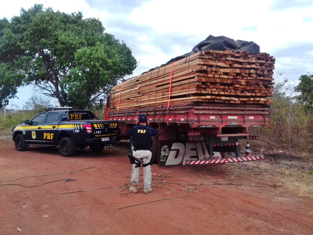 Caminhão com madeira ilegal