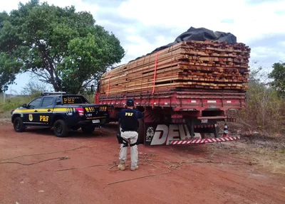 Caminhão com madeira ilegal