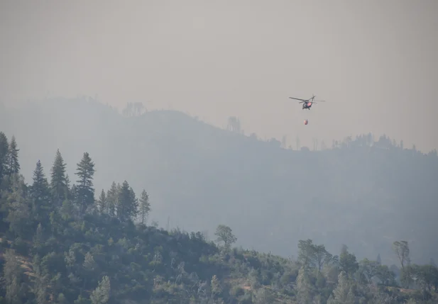 Autoridades combatem incêndio florestal na Califórnia
