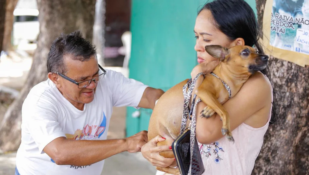 Cachorro assustado no momento da vacinação