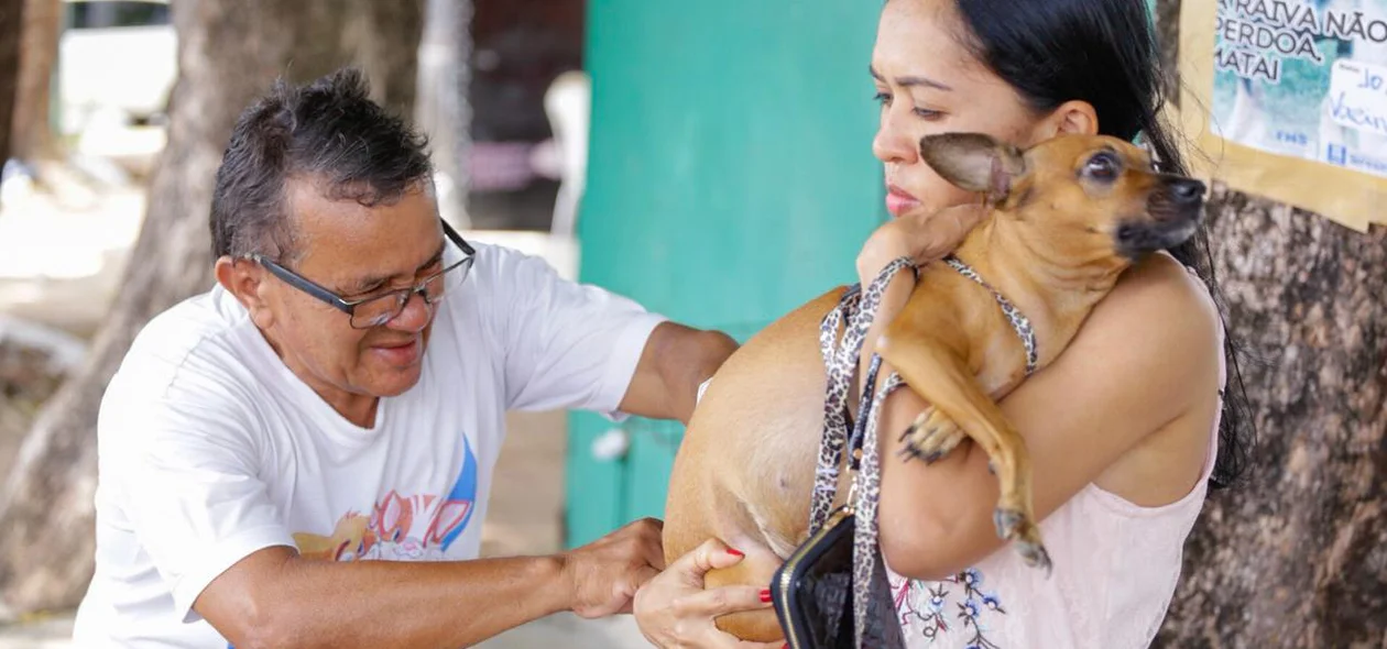 Cachorro assustado no momento da vacinação