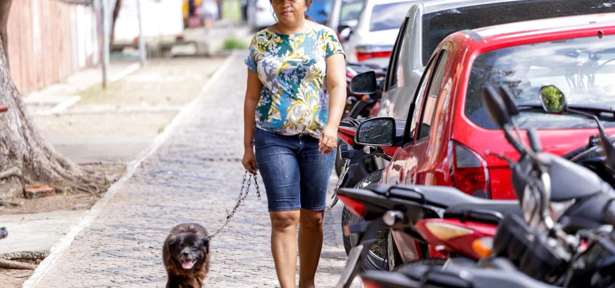 Cachorro sendo levado para vacinar