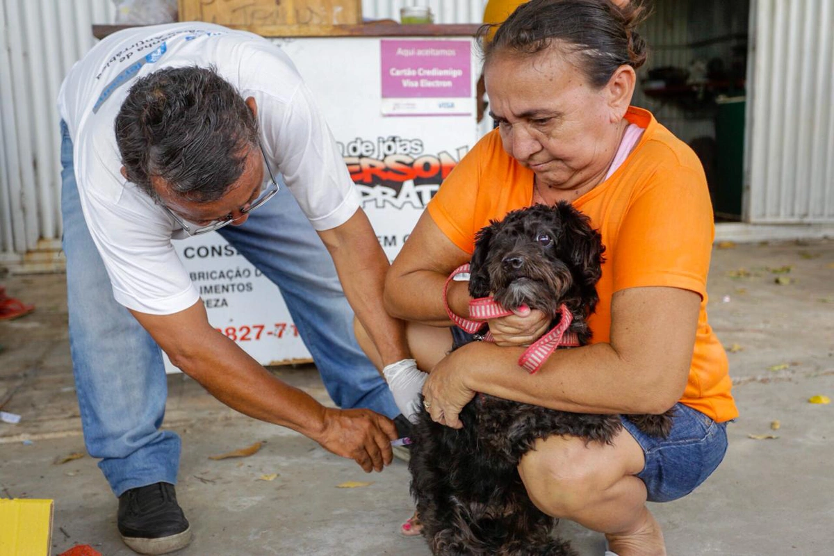Cachorro sendo vacinado contra a raiva