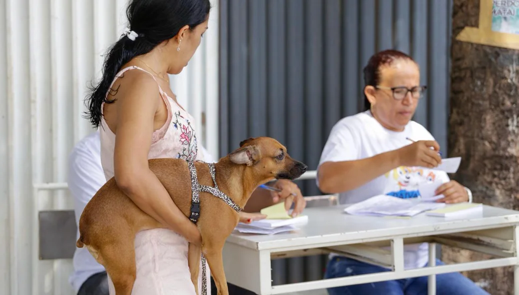 Cachorro sendo vacinado em Teresina
