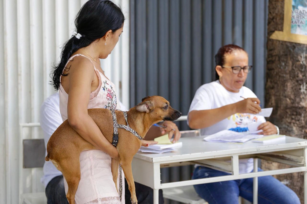 Cachorro sendo vacinado em Teresina