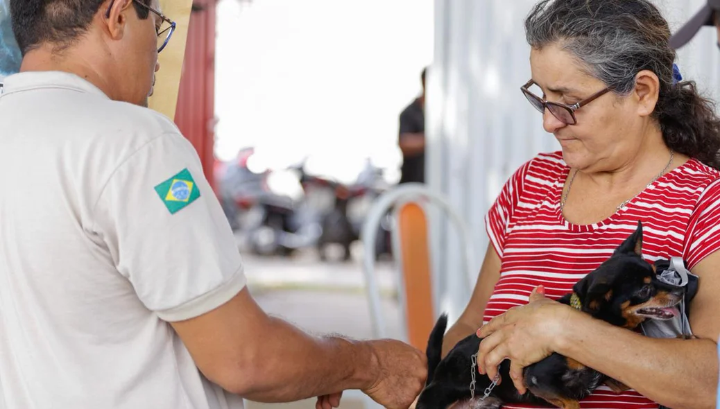 Vacinação contra raiva para cachorros e gatos
