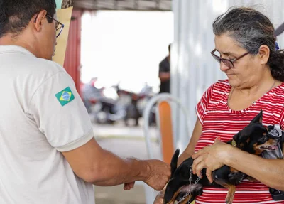 Vacinação contra raiva para cachorros e gatos