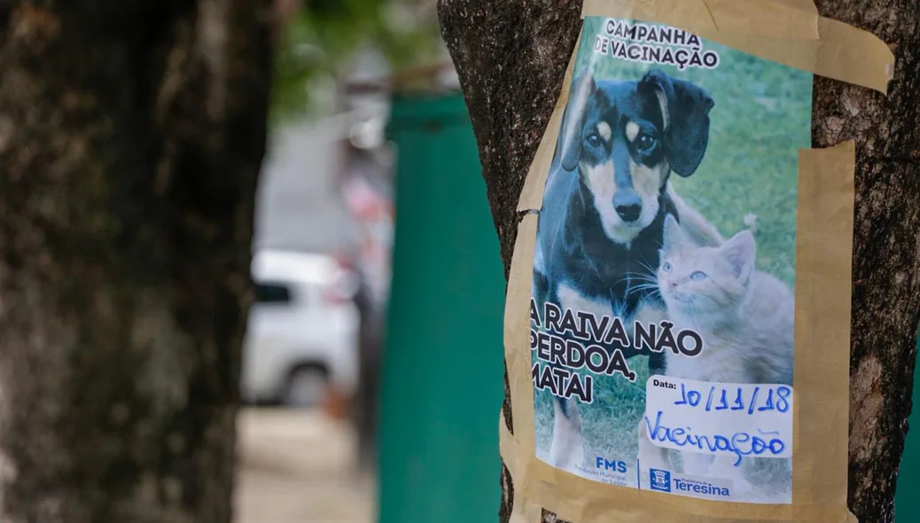 Vacinação contra raiva