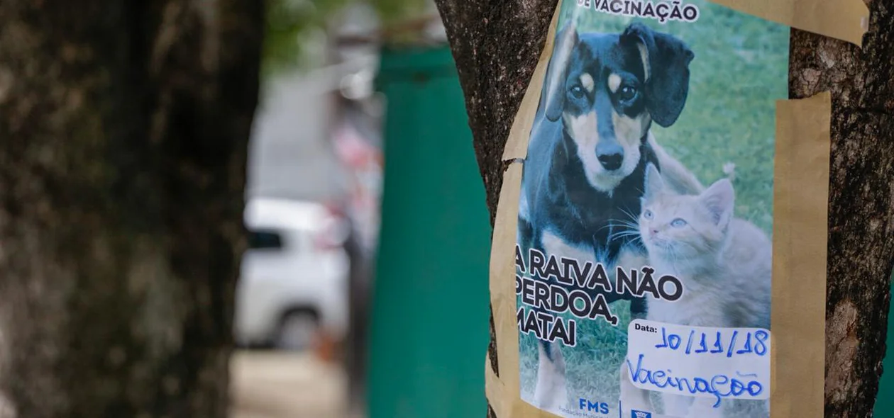 Vacinação contra raiva