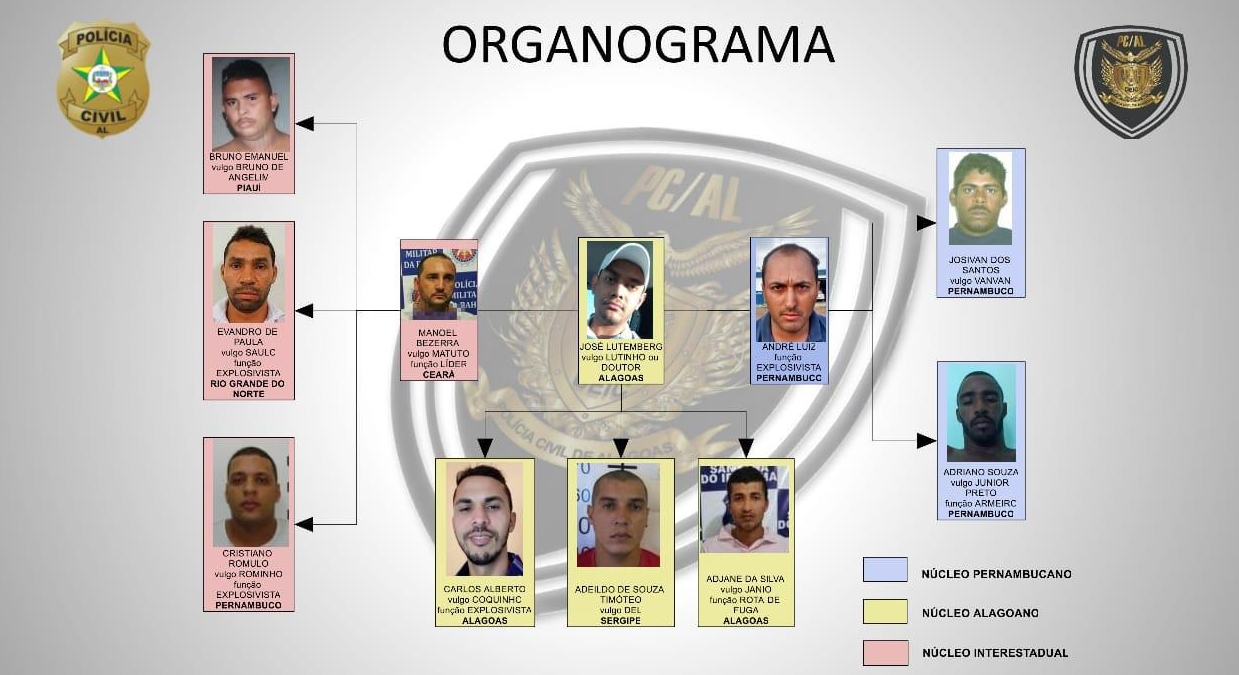 Organização da quadrilha