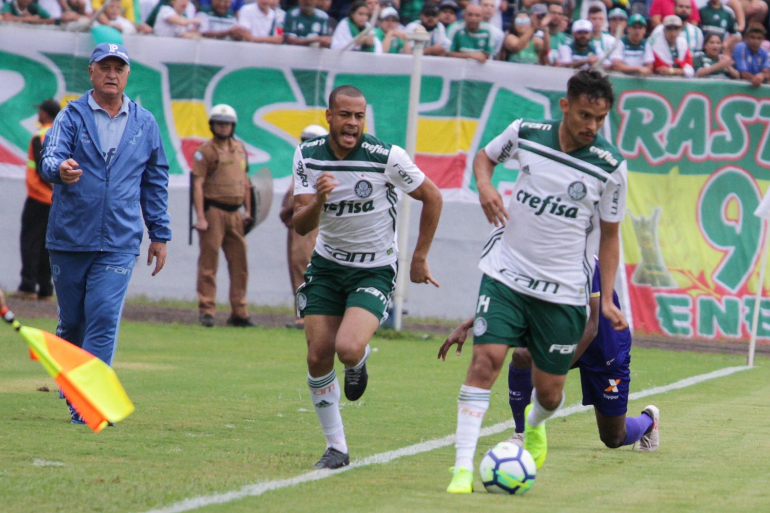Palmeiras durante partida pelo Brasileirão