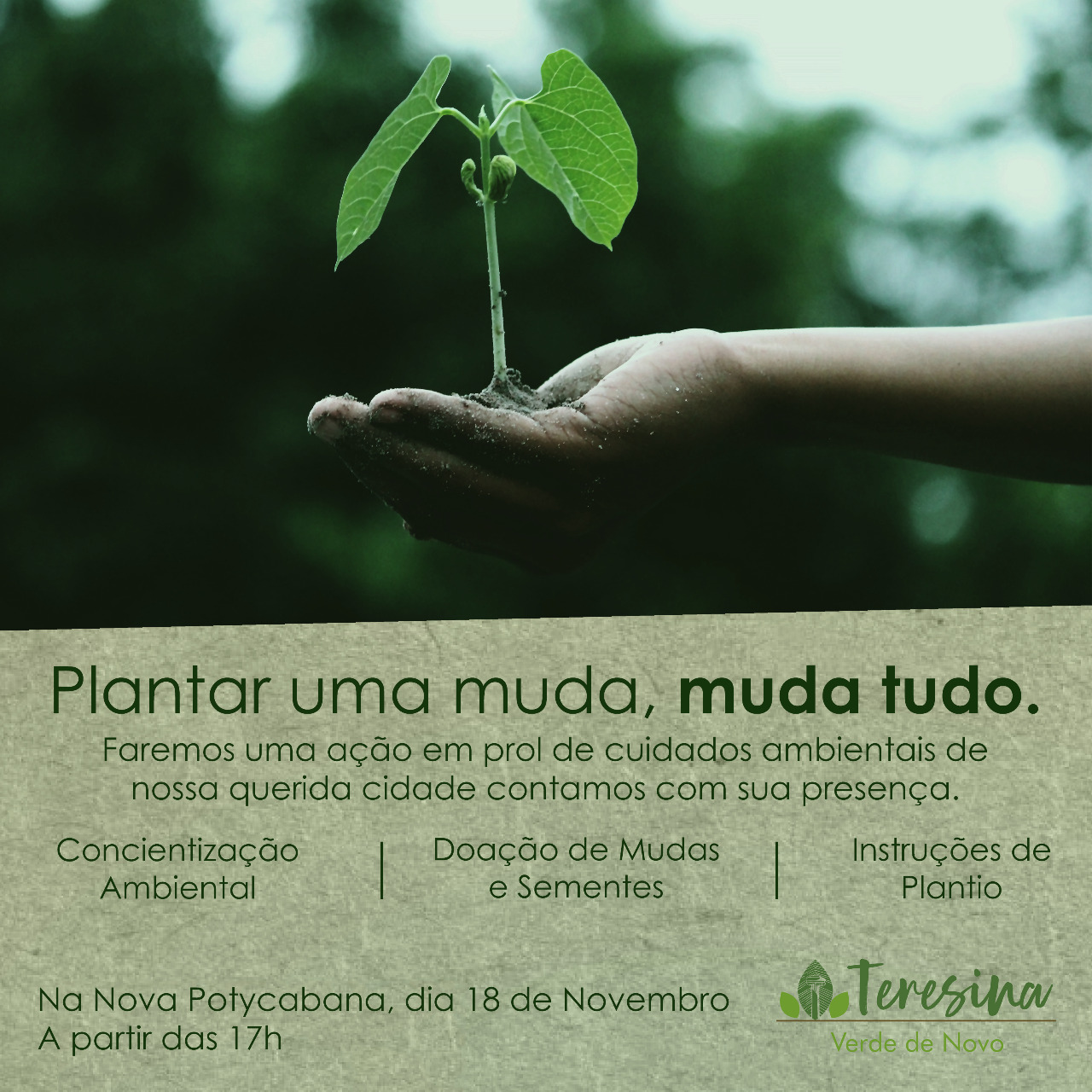 Teresina verde de novo