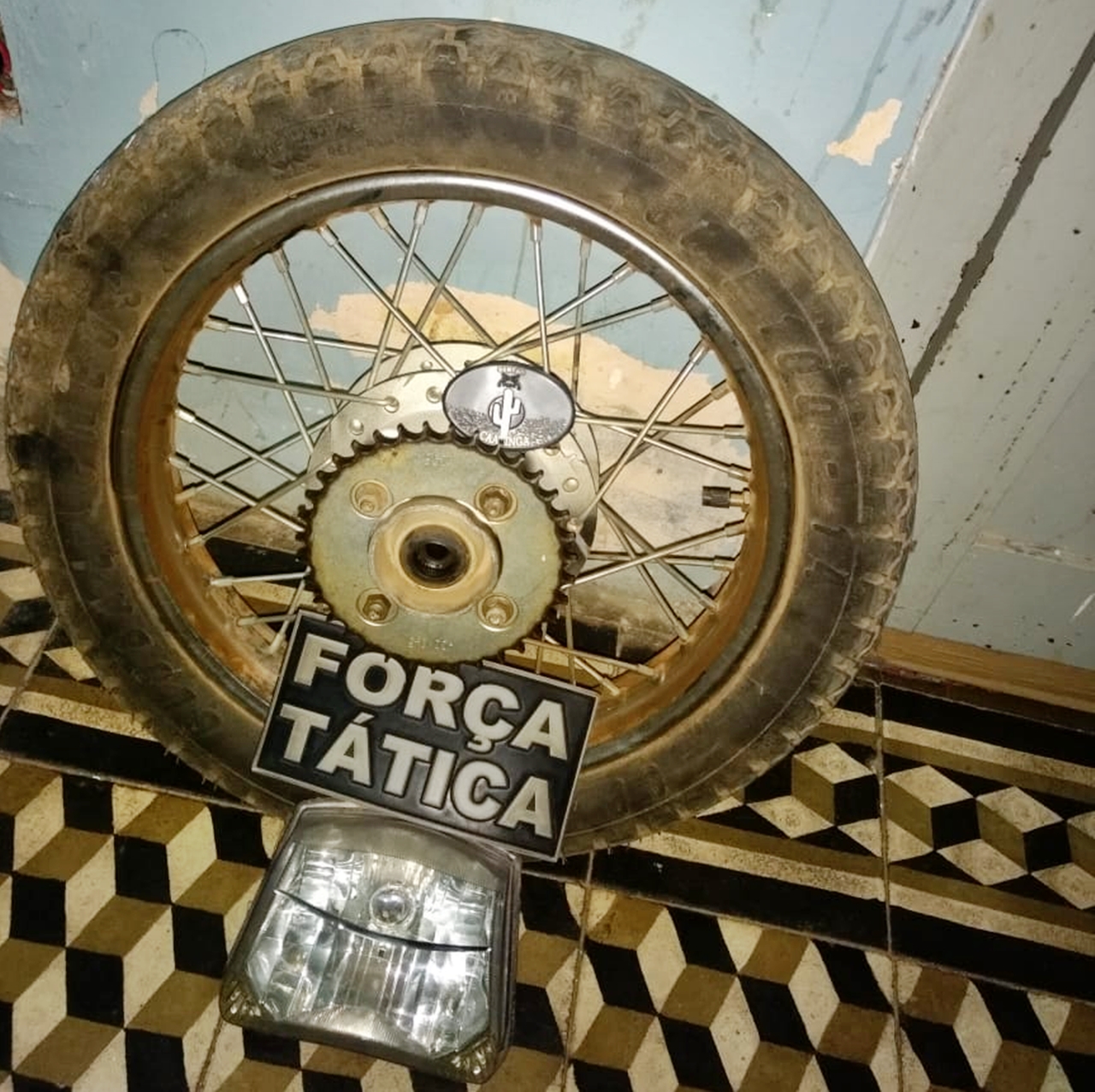 Peças apreendidas pela Força Tática de Paulistana