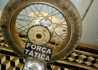 Peças apreendidas pela Força Tática de Paulistana
