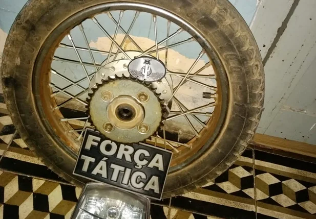 Peças apreendidas pela Força Tática de Paulistana