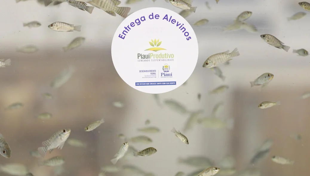 A aquicultura faz tratamento do ambiente aquático para criação de peixe 