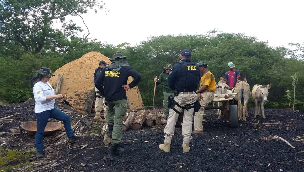 Carvoeiras clandestinas foram demolidas durante a Operação Sustentare