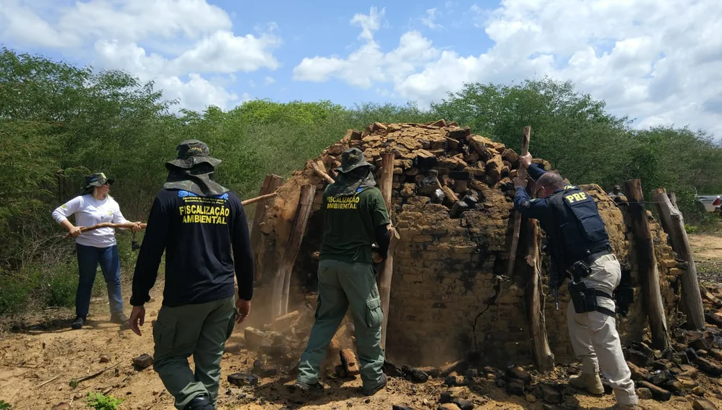 Demolição de carvoaria ilegal no sul do Piauí