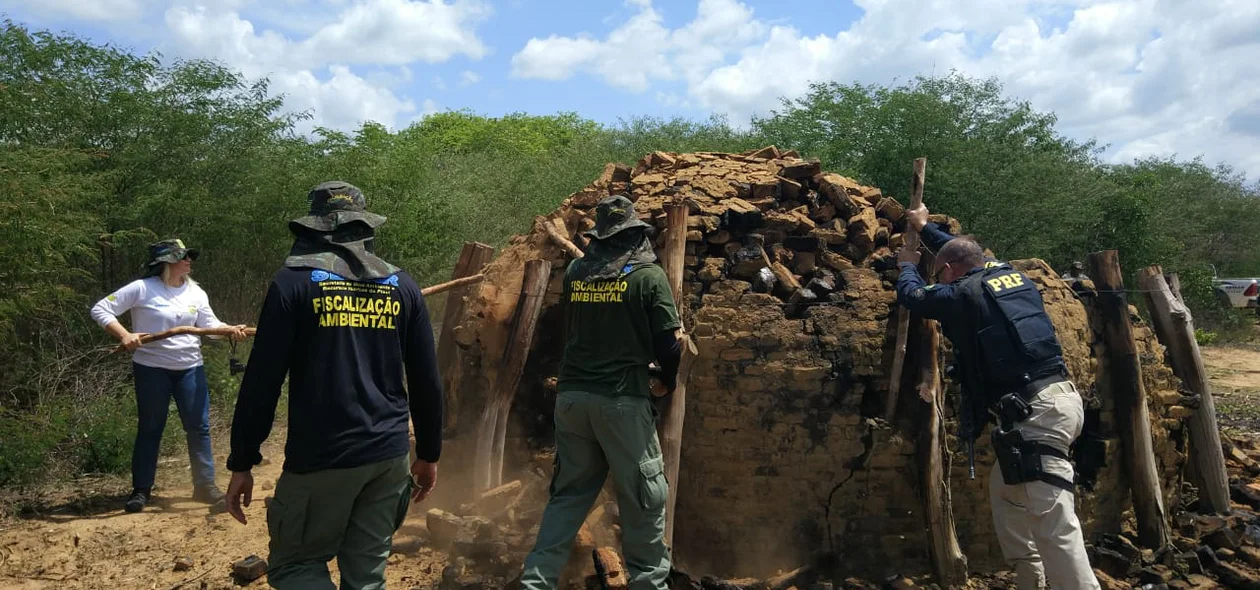 Demolição de carvoaria ilegal no sul do Piauí