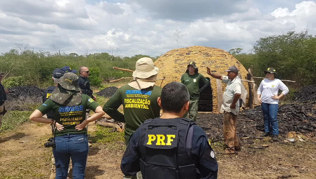 Duas carvoarias ilegais foram demolidas no sul do Piauí