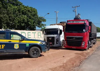 Foram apreendidas 85 toneladas de madeira cerrada que vinha da Amazônia e 12 toneladas de madeira “Aroeira”