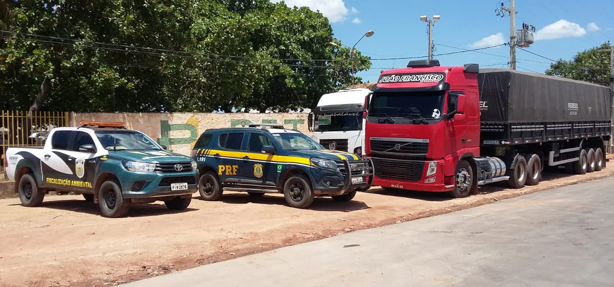 Operação Sustentare apreendeu 97 toneladas de madeira ilegal no sul Piauí