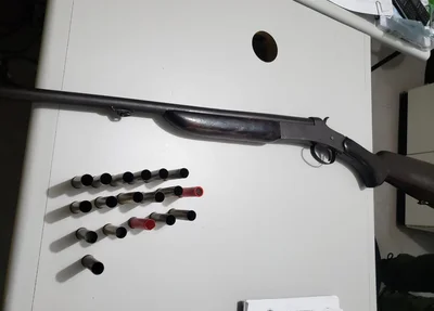 Arma e cartuchos apreendidos