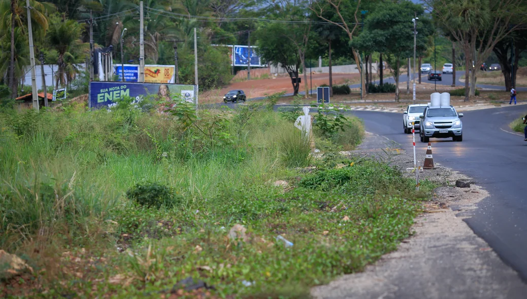 Mato está tomando de conta da rodovia 