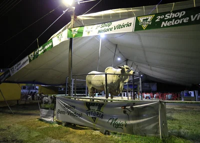 Leilão aconteceu tradicionalmente todos os anos na Expoapi