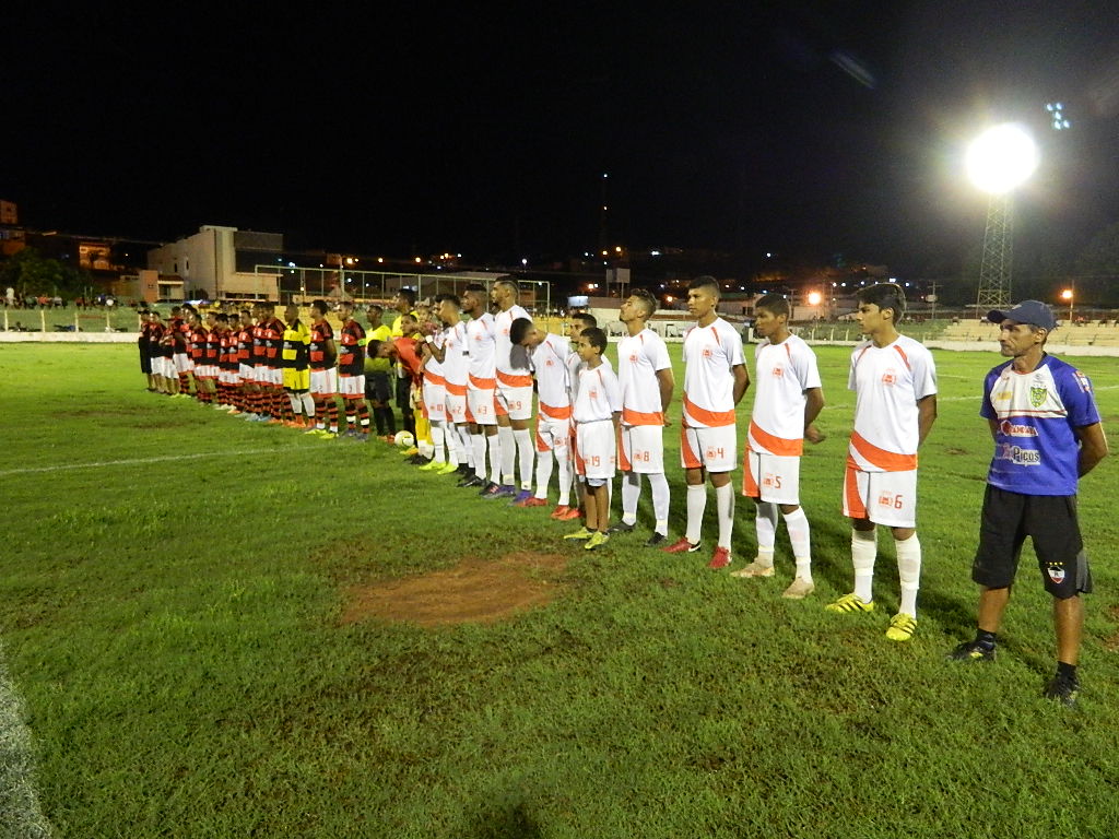 Campeonato Picoense de Futebol Amador