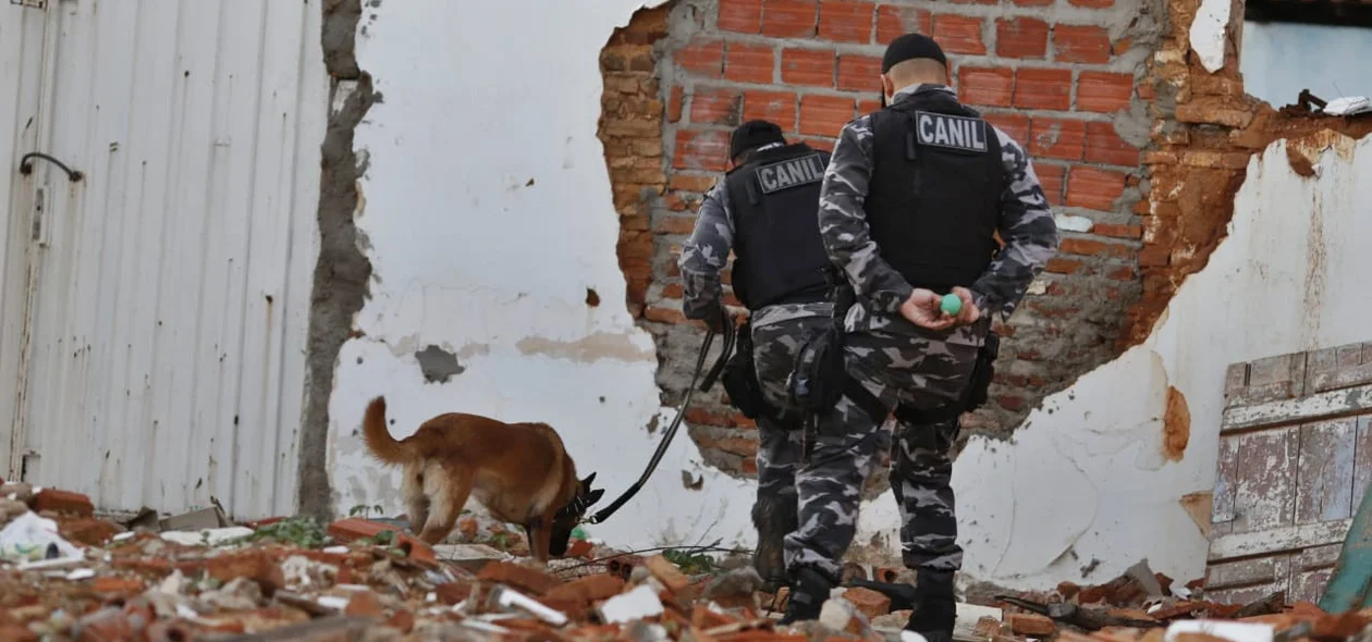 Polícia com cão farejador procurando por armas no local