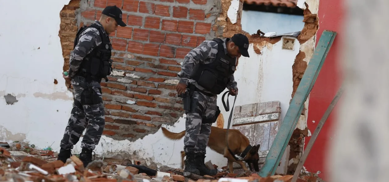 Policiais com cão farejador em busca de materiais pelo local